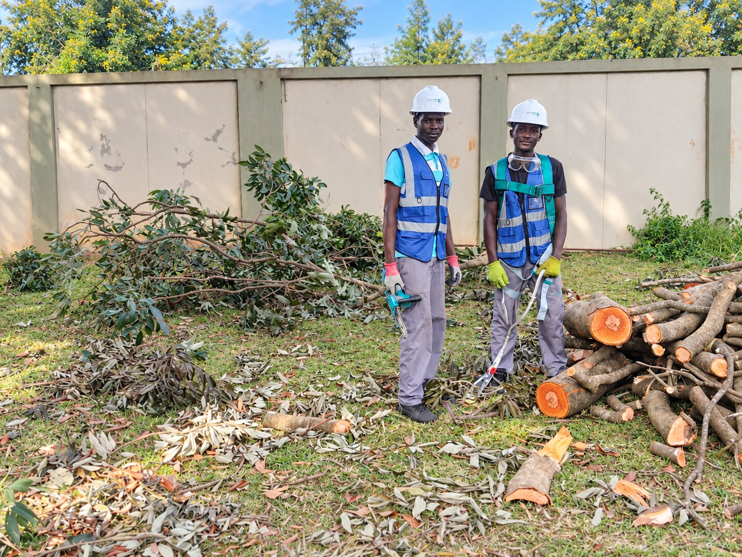 Equipa da Green Point após serviço profissional de poda, limpeza e organização da área